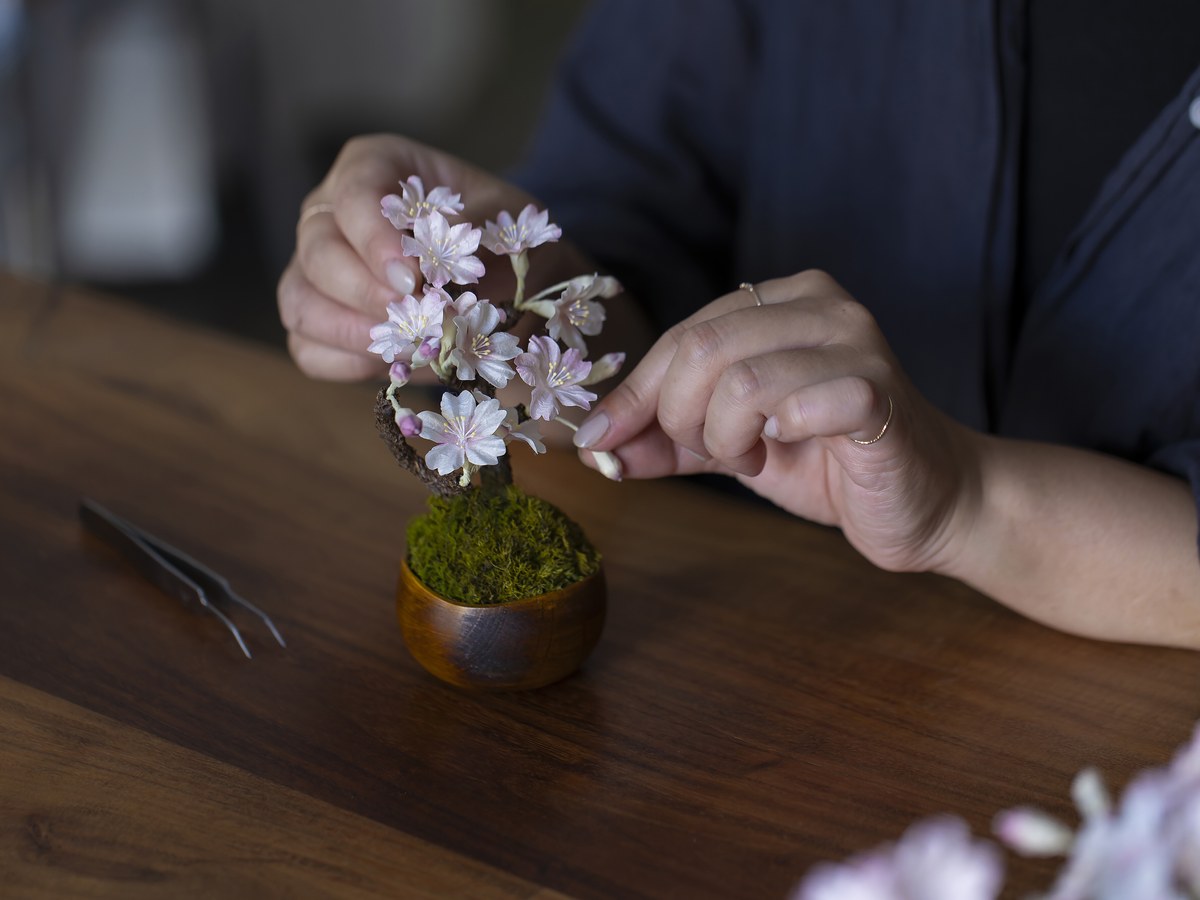 結々-YUIYU- 漆の器を使った桜の盆栽づくり 2
